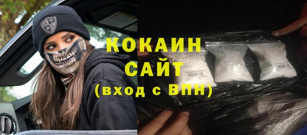 прущие грибы Покровск